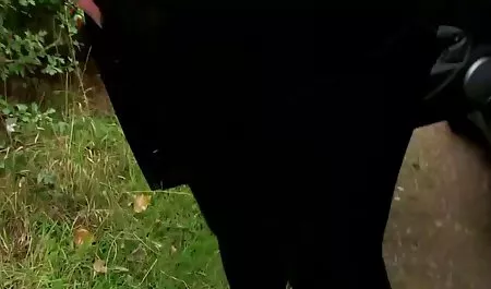 مرد فیلم سکسی کمر باریک هیکل دختر در ورزشگاه