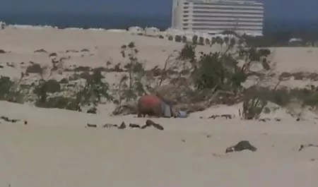 زن حشری سکس آید به کانال کون و کس بازدید و درهم کوبیدن برادر بهترین دوست او
