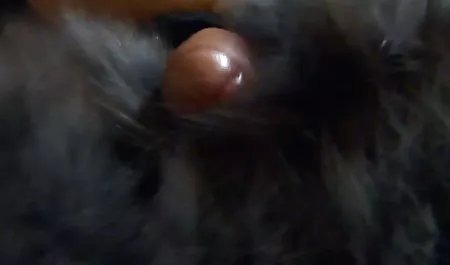 نشان دادن, سبزه, سینه کلان, كوس و كون گاییدن