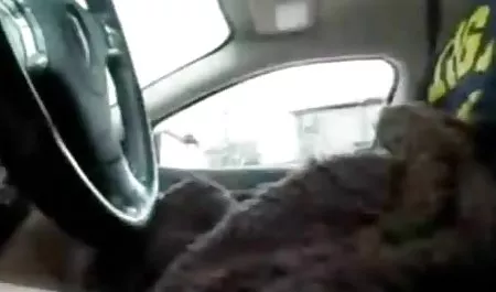 تنها دختر لورن کون و پستون گنده